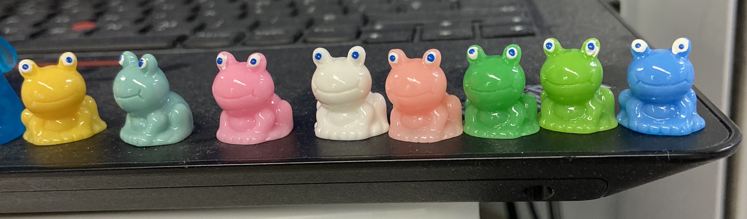 ndv_grenouille_1.jpg